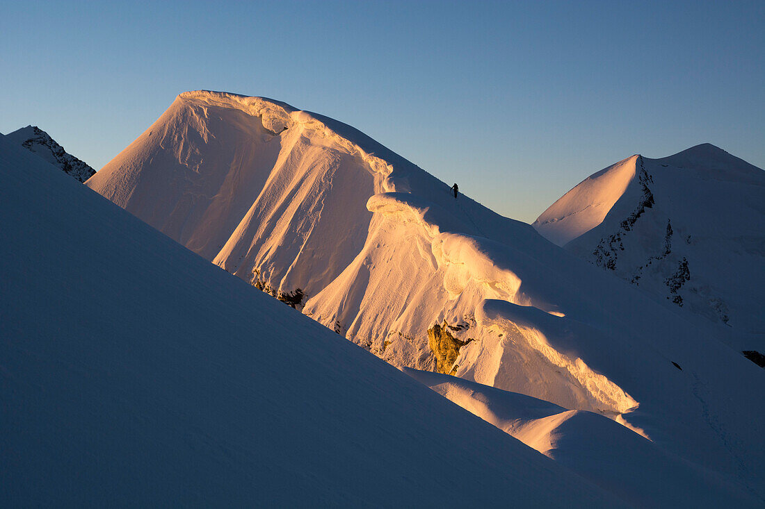 Two alpinists on the summit ridge of Roccia Nera, one of the five summits of the Breithorn massif, above them big cornices in the morning sun, behind them the summit of Castor, Valais Alps, canton of Valais and region of Aosta Valley, national border of S