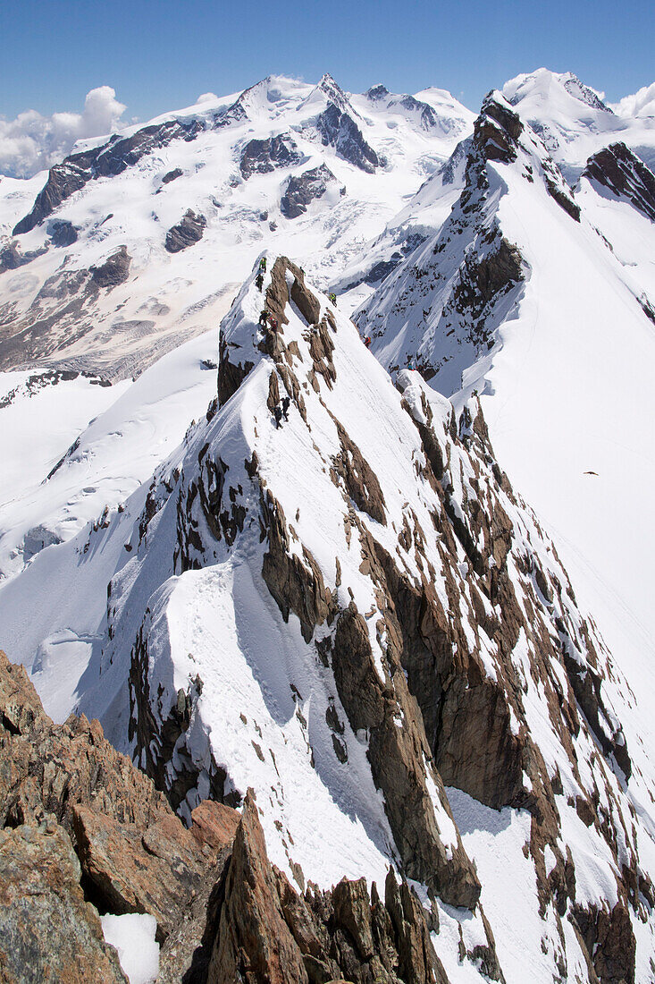 Alpinists traversing the exposed ridge of Breithorn Mittelgipfel, Valais Alps, canton of Valais and region of Aosta Valley, national border of Switzerland and Italy