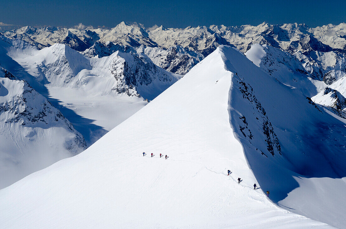 Zwei Gruppen von Schneeschuhläufern im Aufstieg zum Gipfel der Pigne d'Arolla, im Hintergrund das Gipfelmeer der westlichen Walliser Alpen, Kanton Wallis, Schweiz