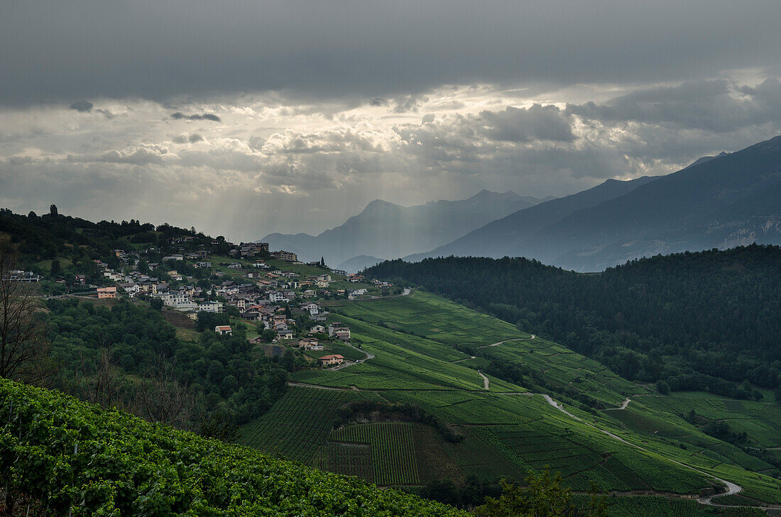 Das Dorf Chandolin-près-Savièse in den Weinbergen des Rhonetals, Kanton Wallis Schweiz