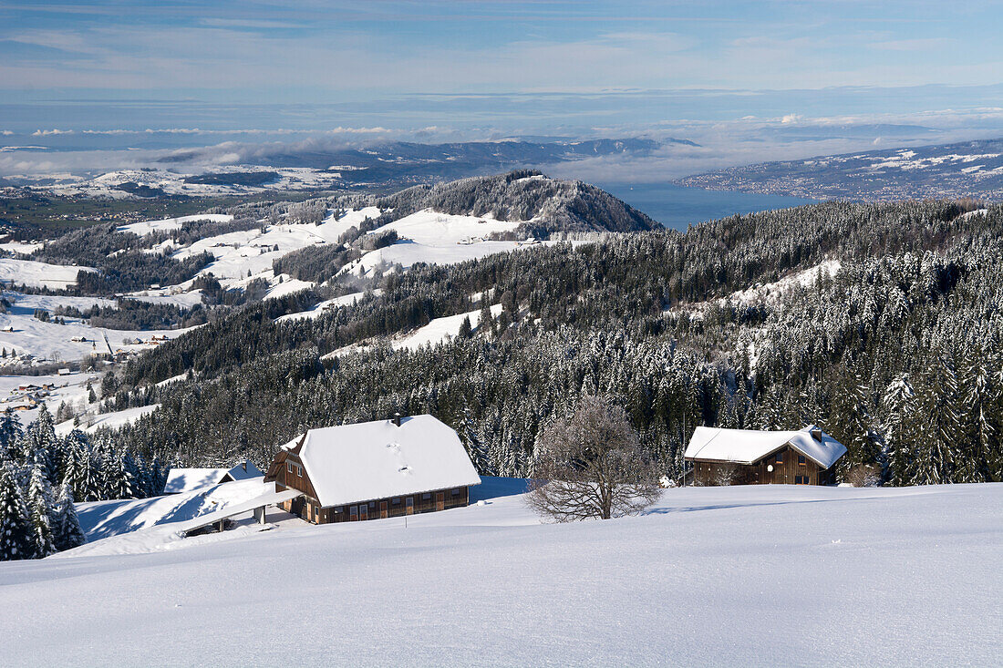 Zwei Holzhäuser in einer verschneiten Hügellandschaft, dahinter der Zürichsee, Kanton Schwyz, Schweiz