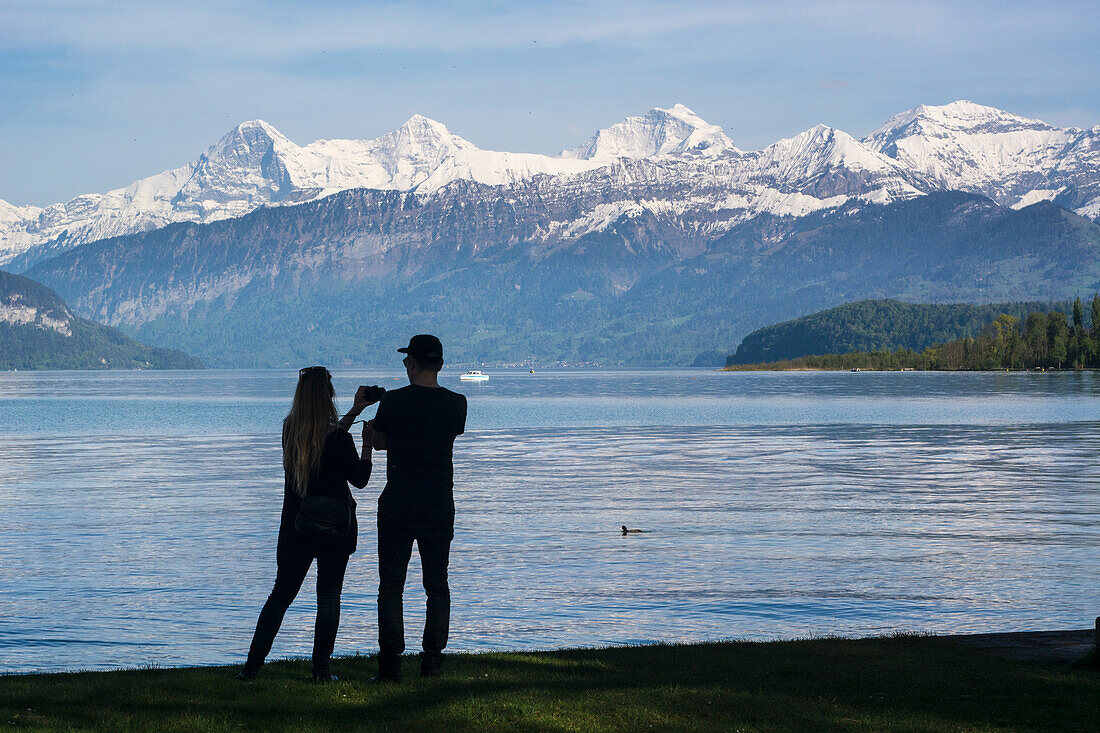 A couple on the shore of Lake Thun, taking a picture of the mountains of Eiger, Moench and Jungfrau, city of Thun, canton of Bern, Switzerland