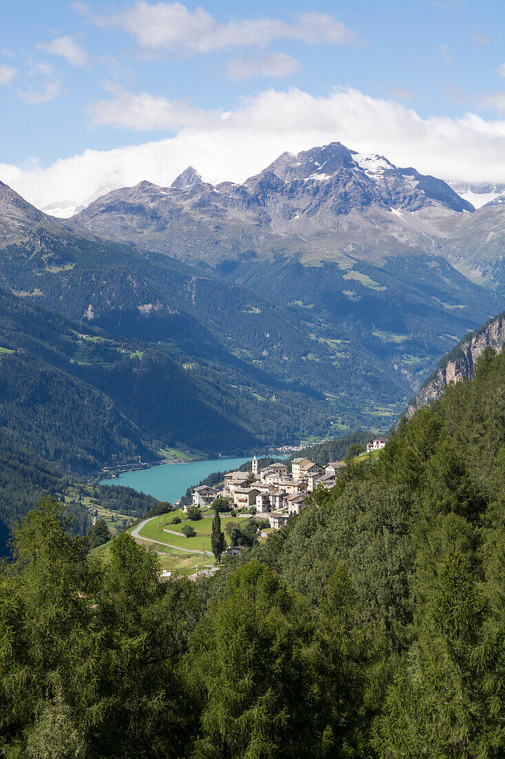 Das Dorf Viano liegt auf einer Terrasse, umgeben von Wald, hoch über dem Talboden des Puschlavs respektive Val Poschiavo, im Hintergrund der Lago di Poschiavo und Gipfel der Berninagruppe, Bündner Alpen, Kanton Graubünden, Schweiz