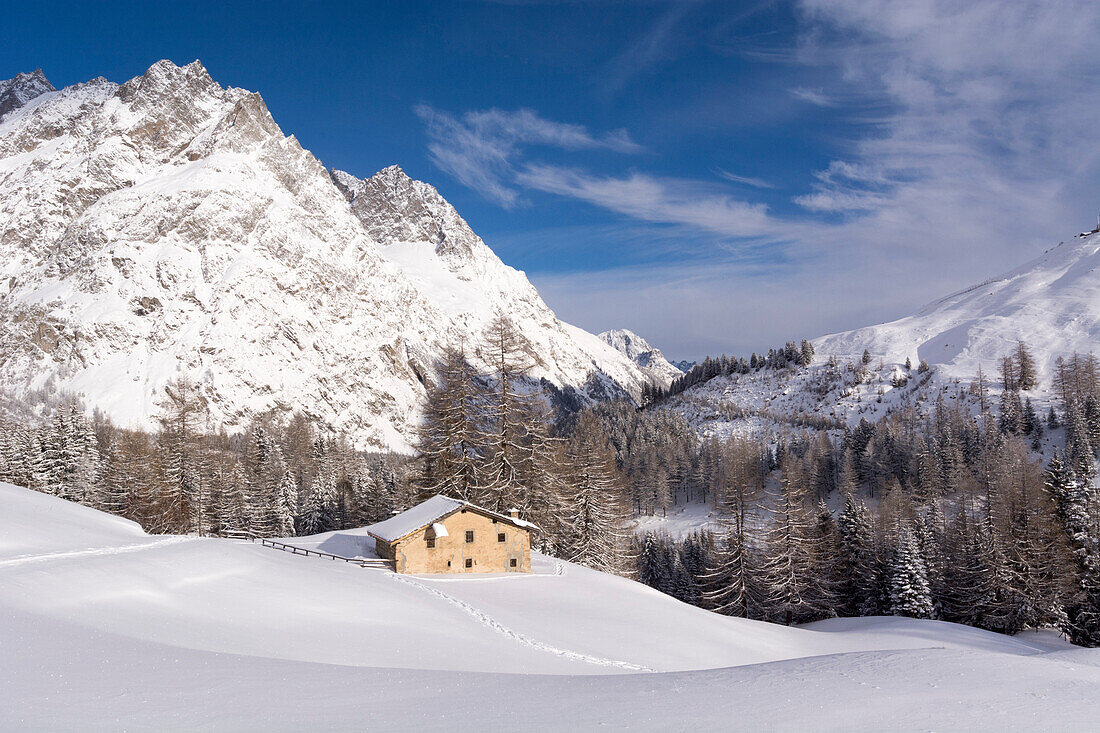 A Hut near the alp Lechere Dessous in deep snow, surrounded by fir forest, behind the summits of the Pointes des Six Niers, Val Ferret, Pennine Alps, canton of Valais, Switzerland