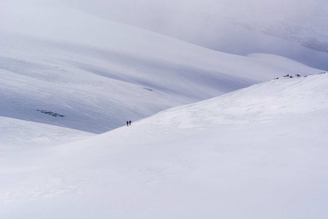 Zwei Skitourengänger im Aufstieg inmitten grosser, weisser Flanken, Simplongebiet, Lepontinische Alpen, Kanton Wallis, Schweiz