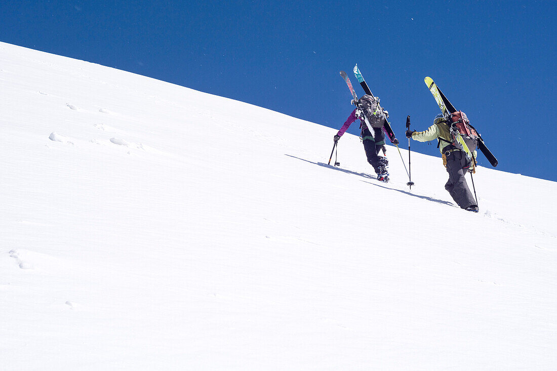 A female and a male mountaineer carrying their touring skis on their backpacks and ascending a steep snow slope, summit of Roccia Nera, Breithorn massif, Pennine Alps, canton of Valais and region of Aosta Valley, national border of Switzerland and Italy