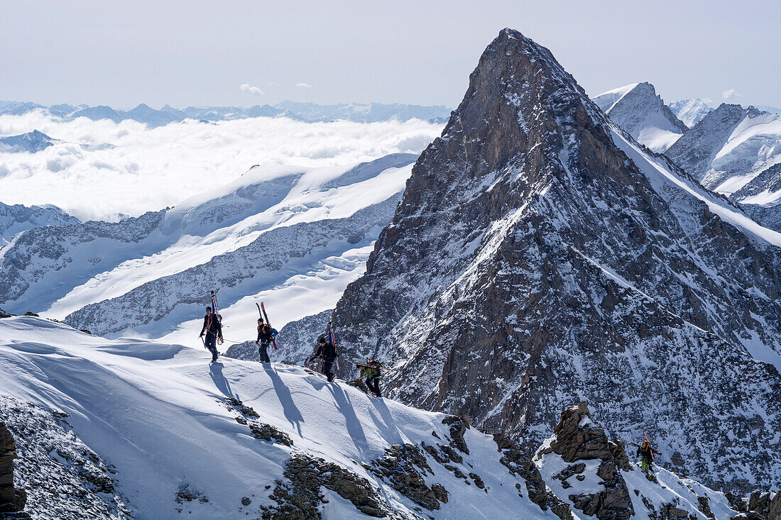 Mountaineers in a rope team, carrying their touring skis on their backspacks, ascending an exposed snow and rock ridge, south ridge of Hinteres Fiescherhorn, behind them the summit of Grosses Gruenhorn, Bernese Alps, canton of Valais, Switzerland