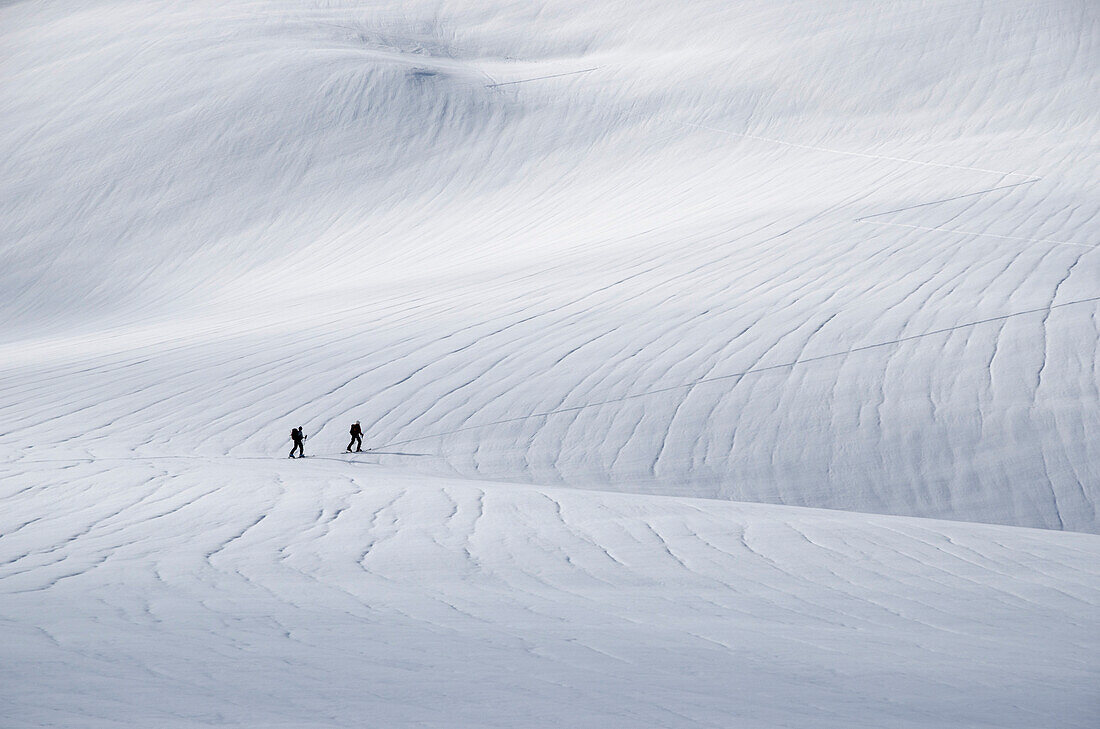 Eine Skitourengängerin und ein Skitourengänger sind unterwegs auf dem Galmigletscher, Berner Alpen, Kanton Wallis, Schweiz
