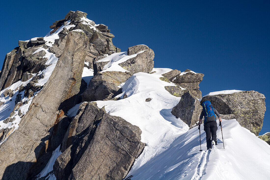 Eine Skitourengängerin steigt über einen Schneegrat Richtung Gipfel, Piz Borel, Lepontinische Alpen, Kantone Tessin und Graubünden, Schweiz