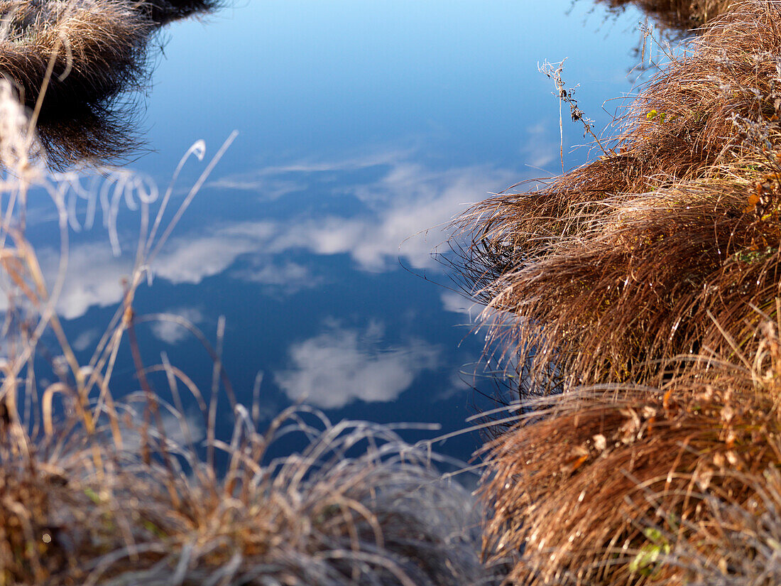 Reflection of clouds on water surface, Hohenschwangau, Bavaria, Germany