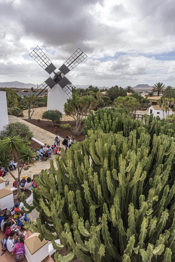 Molina de Antigua, Windmill, School Class, Fuerteventura, Canary Islands, Spain