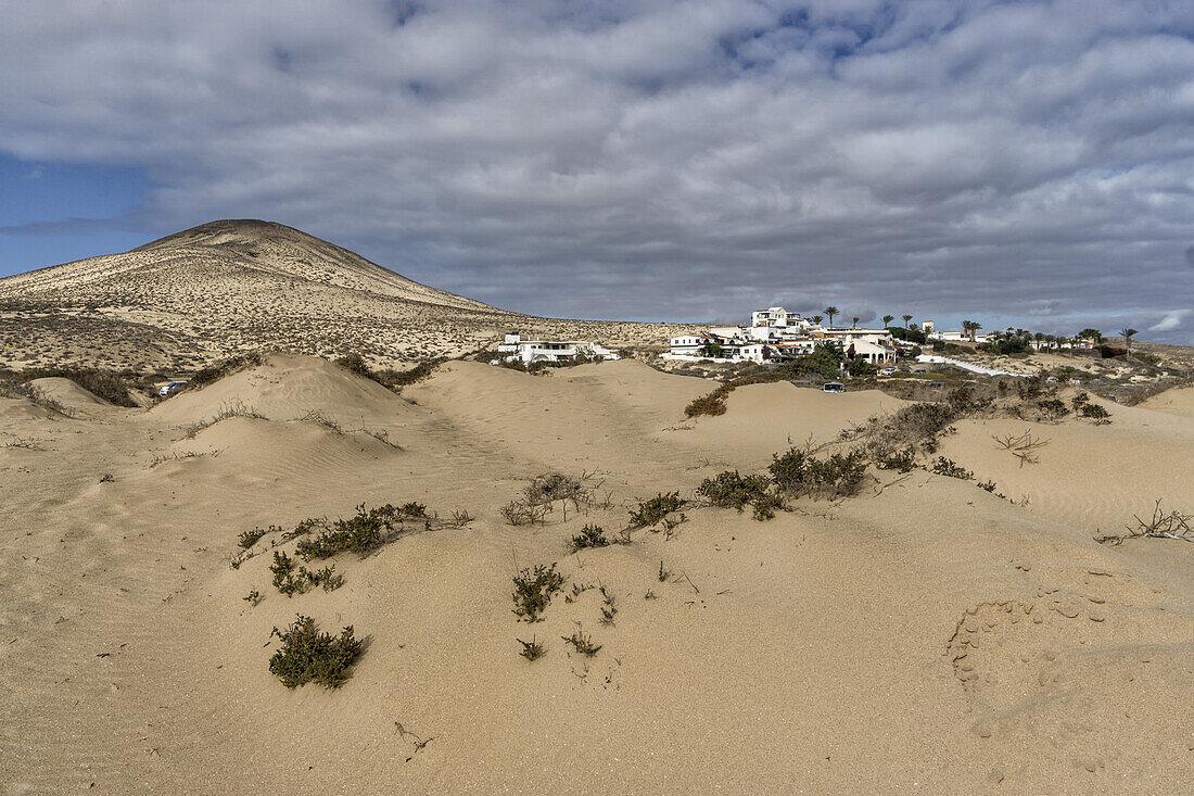Beach and dunes, Playa Sotavento de Jandia, Fuerteventura, Canaries, Spain