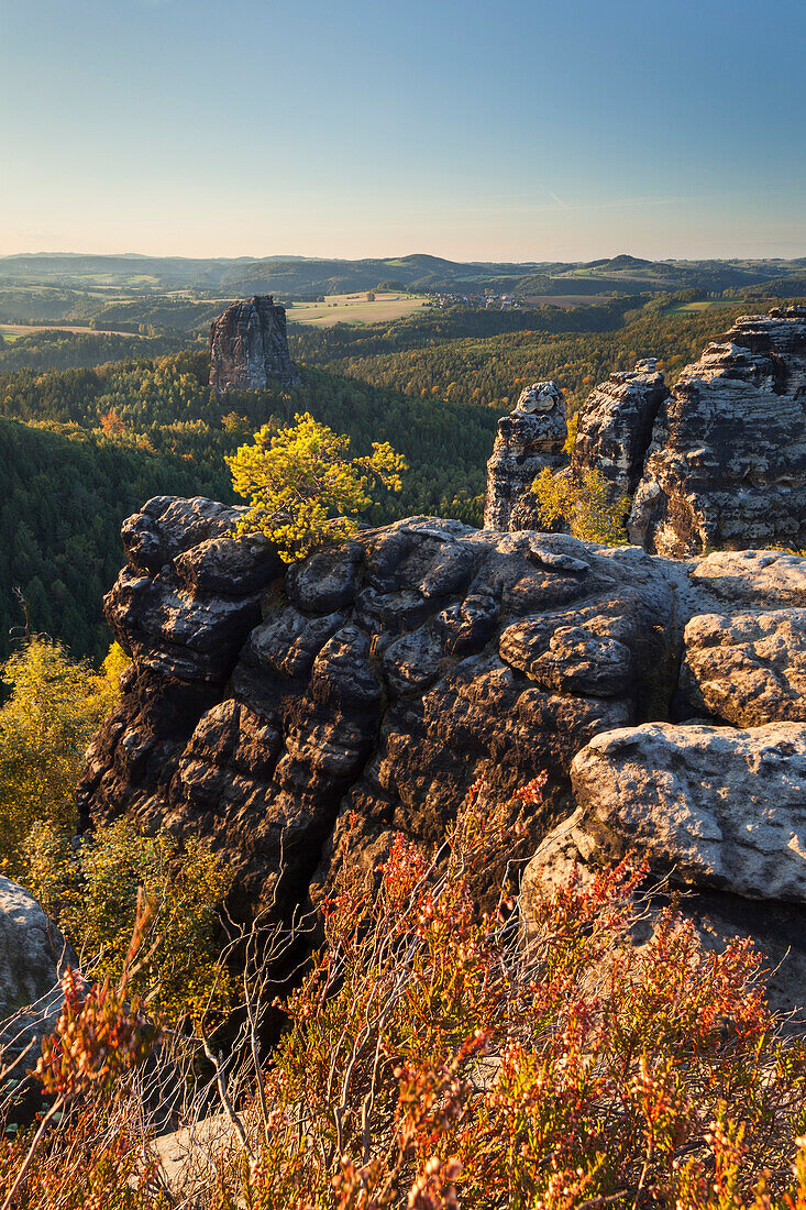 View towards Muellerstein and Falkenstein in the last evening light with rocks and heather in the foreground, National Park Saxon Switzerland, Saxony, Germany