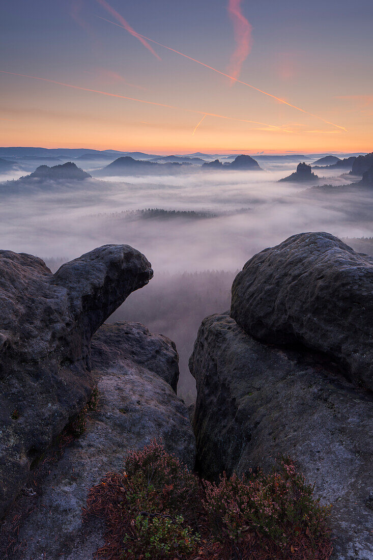 View from Gleitmannshorn over the small Zschand at dawn with rocks and blooming heather in the foreground, Kleiner Winterberg, National Park Saxon Switzerland, Saxony, Germany