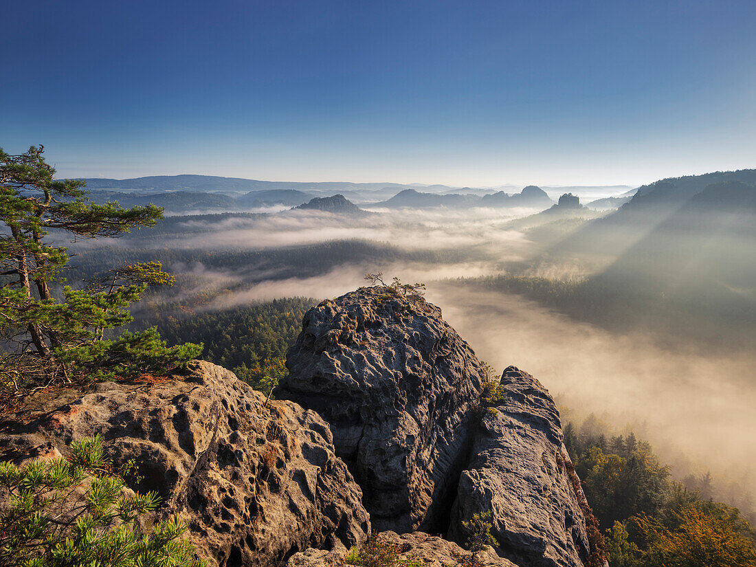 Blick vom Gleitmannshorn über den kleinen Zschand mit Nebel in der Morgensonne und Felsen im Vordergrund, Kleiner Winterberg, Nationalpark Sächsische Schweiz, Sachsen, Deutschland