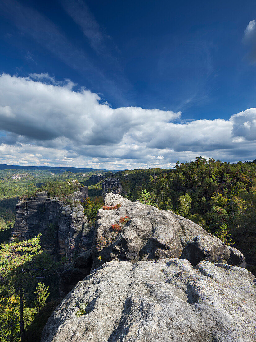 Blick auf den Heringstein und den kleinen Zschand im Sommer mit Felsen im Vordergrund, Nationalpark Sächsische Schweiz, Sachsen, Deutschland