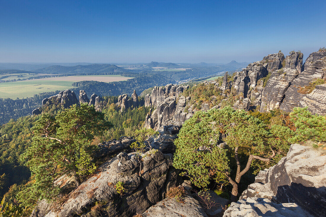 Panorama der Schrammsteine in der Morgensonne gesehen von der Elbtalaussicht, Nationalpark Sächsische Schweiz, Sachsen, Deutschland