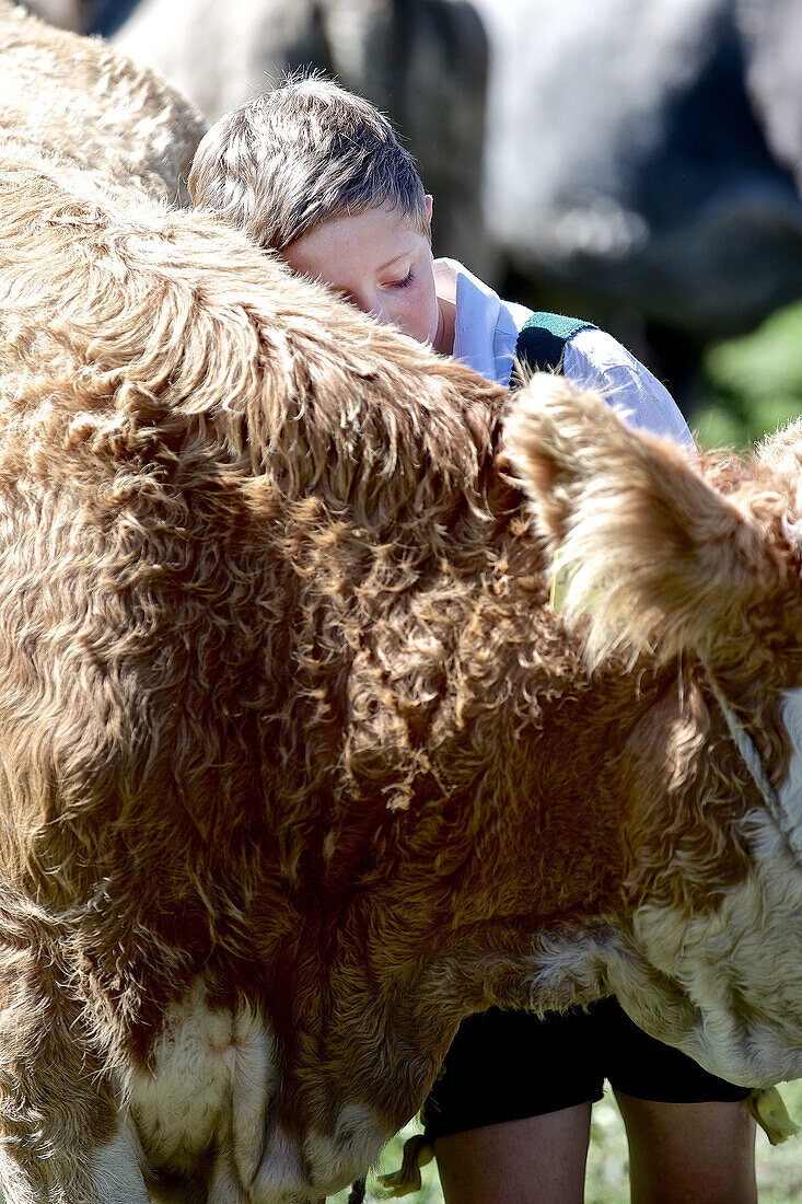 Boy wearing traditional clothes snuggling a cattle, Viehscheid, Allgau, Bavaria, Germany