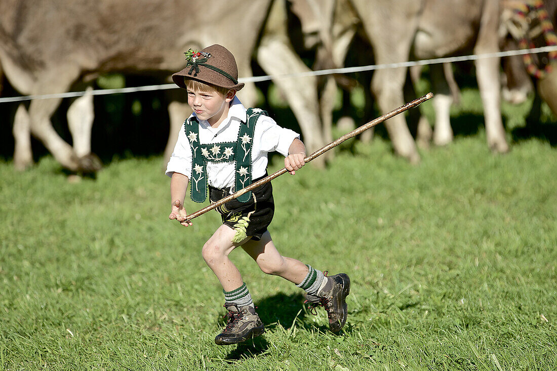 Boy wearing traditionl clothes running over a meadow, Viehscheid, Allgau, Bavaria, Germany