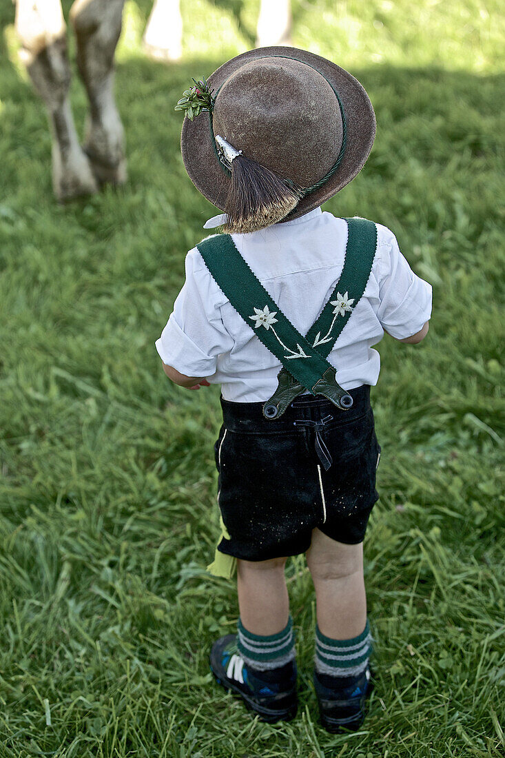 Junge in Tracht auf einer Wiese beim Viehscheid, Allgäu, Bayern, Deutschland