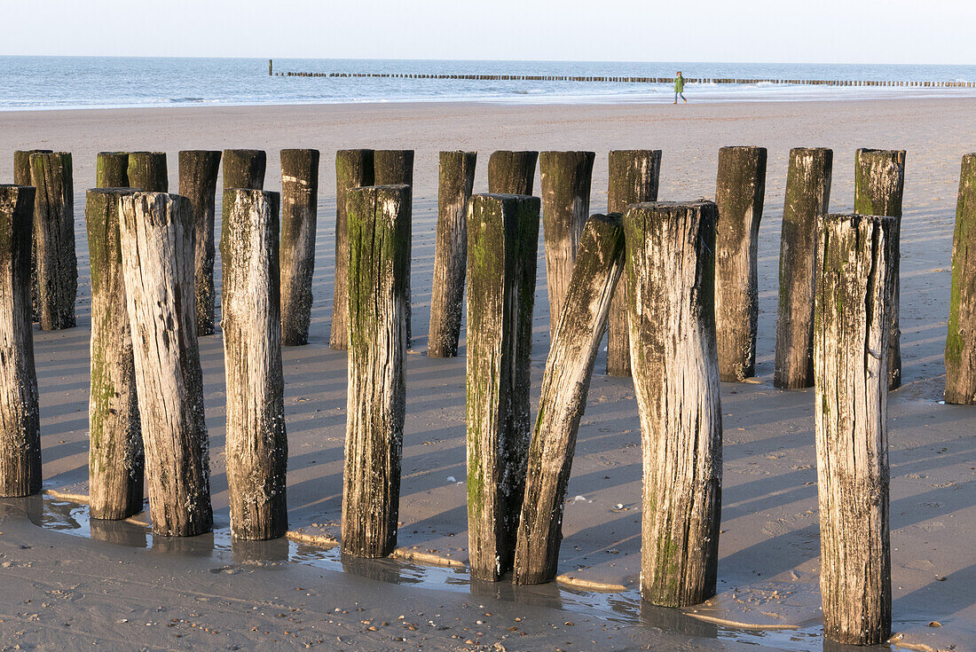 Strand, Buhne, Domburg, Nordsee-Küste, Provinz Seeland, Niederlande