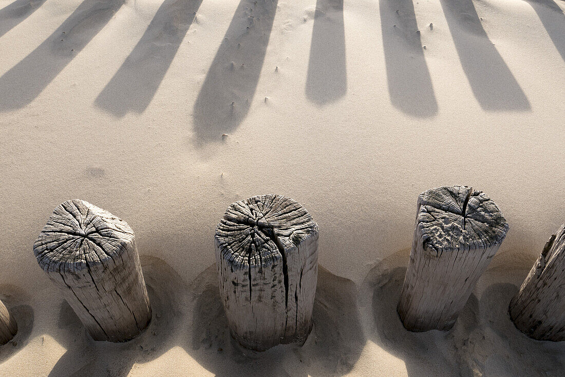 beach, groyne, Domburg, North Sea Coast, Zeeland, Netherlands