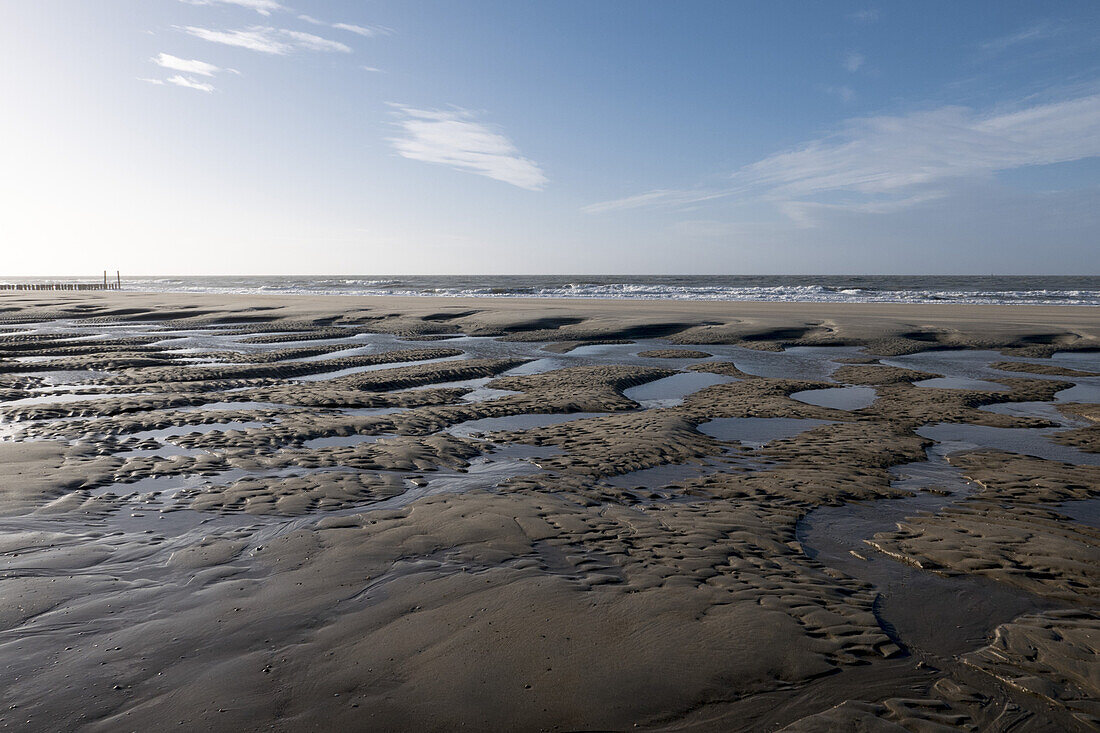 beach, low tide, Domburg, North Sea Coast, Zeeland, Netherlands