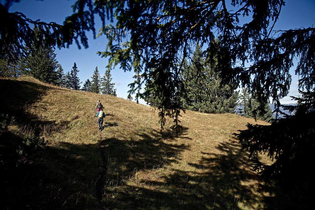 A man and a woman hiking on a trail in the mountains, Oberstdorf, Bavaria, Germany