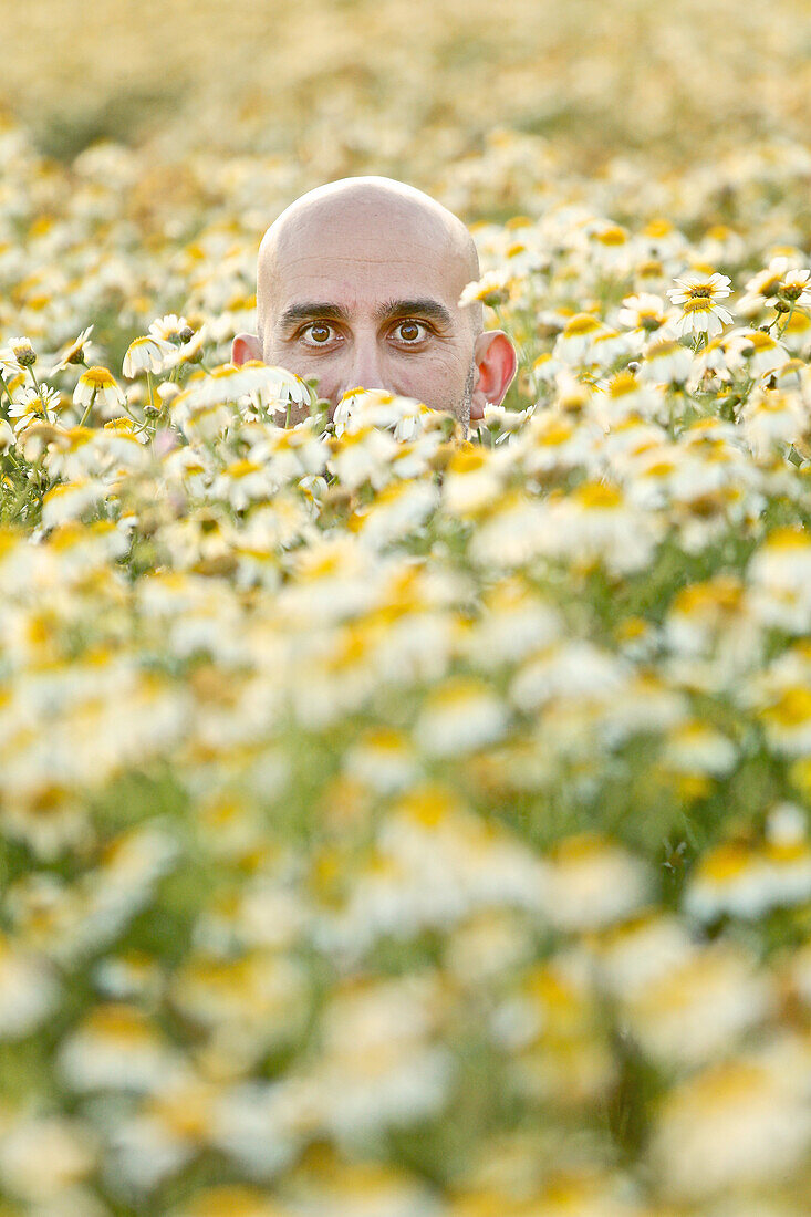 Der Kopf eines jungen Mannes schaut aus einer Blumenwiese heraus, Mallorca, Spanien