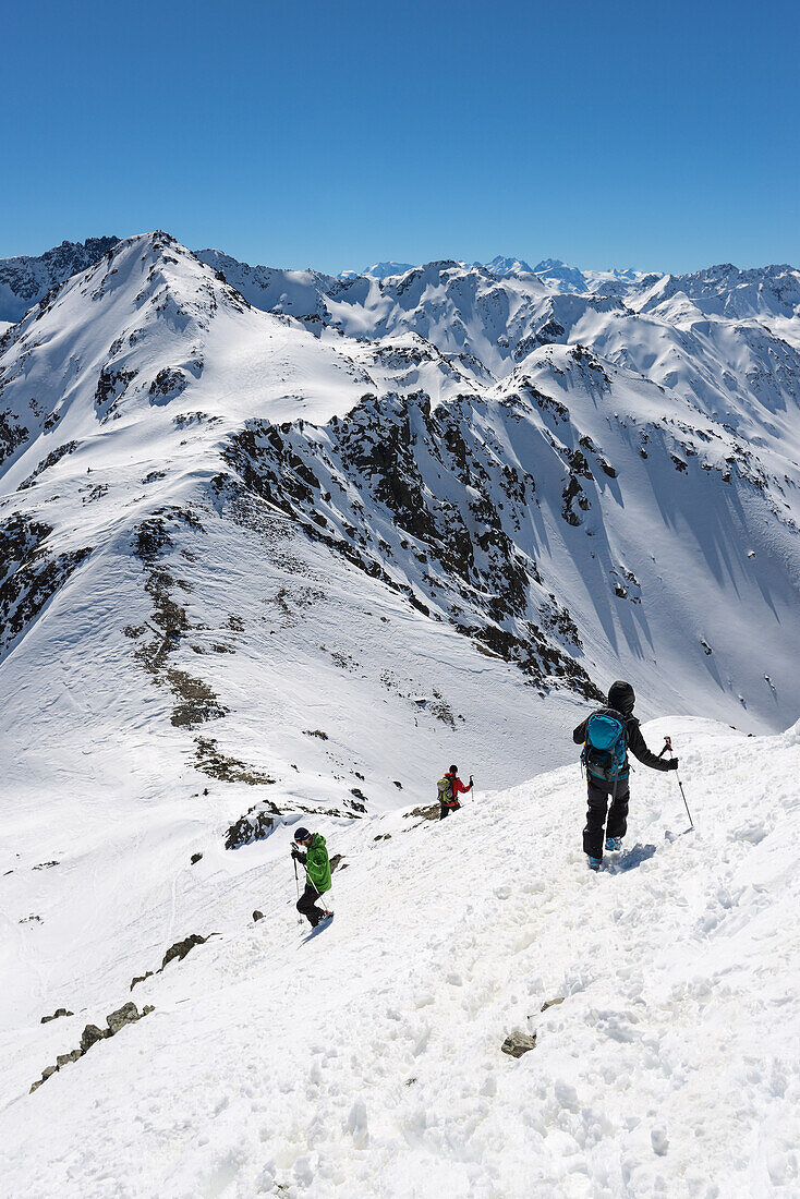 A group of mountaineers descending from the Schwarzhorn (3147 m), on the right-hand side of the picture Piz Palue, Piz Bernina, Grisons, Switzerland, Europe