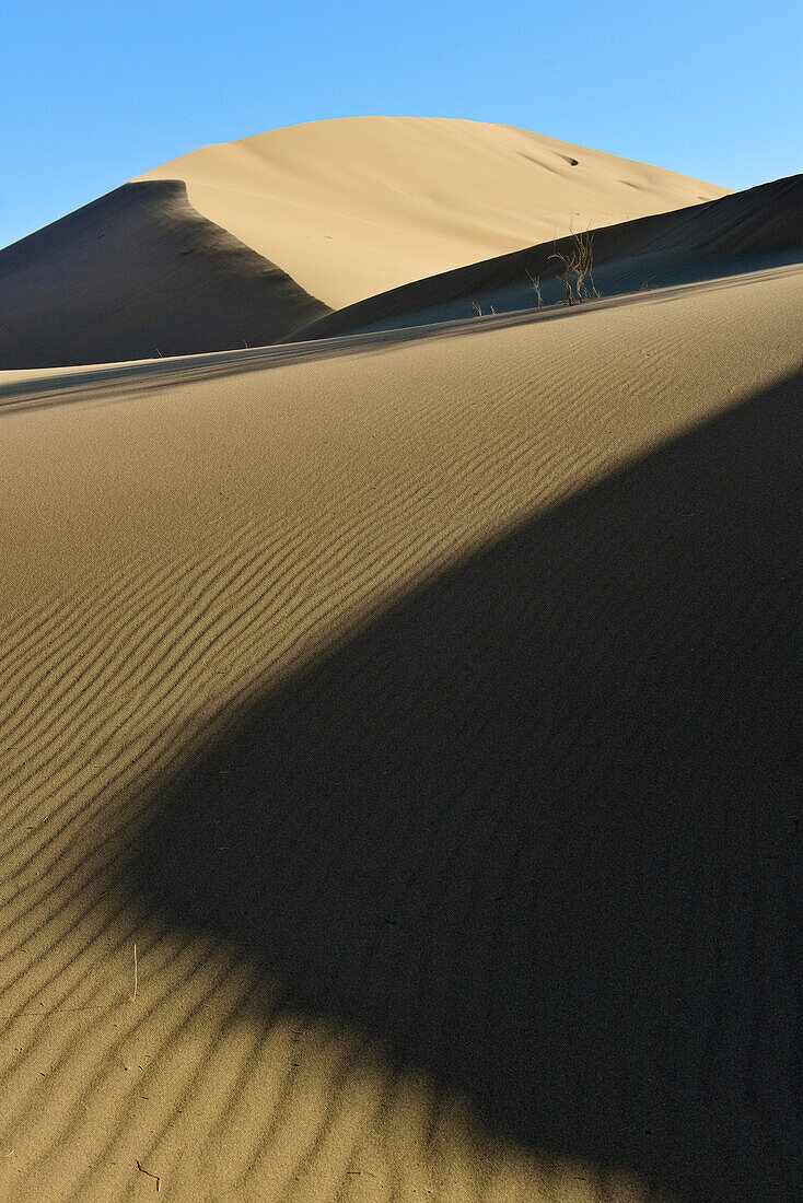 Singende Düne und Schatten einer weiteren Sanddüne, Wüste im Altyn Emel Nationalpark, Region Almaty, Kasachstan, Zentralasien, Asien
