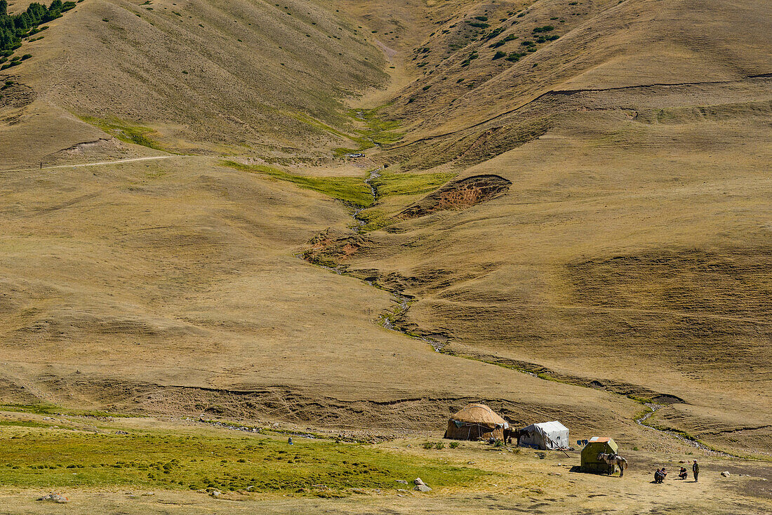 Nomaden mit Jurten und Pferden in der Steppe, Assy Plateau, Region Almaty, Kasachstan, Zentralasien, Asien