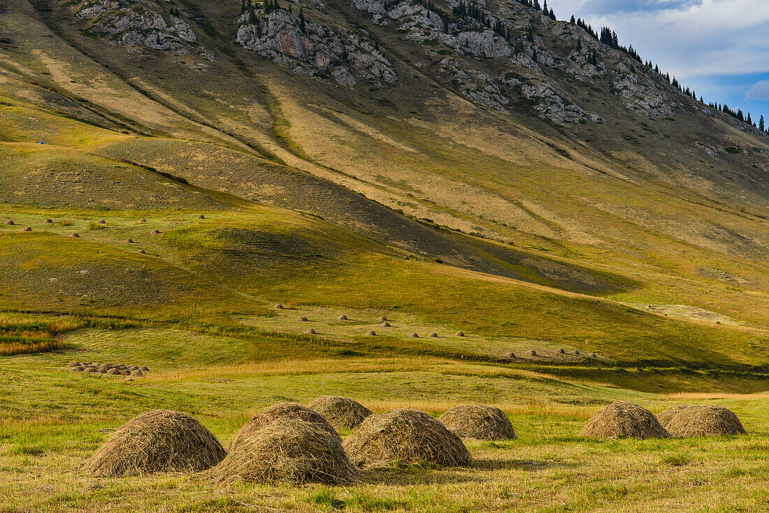 Hay bales during harvest time at an alm, Kolsay Lakes National Park, Tien Shan Mountains, Tian Shan, Almaty region, Kazakhstan, Central Asia, Asia