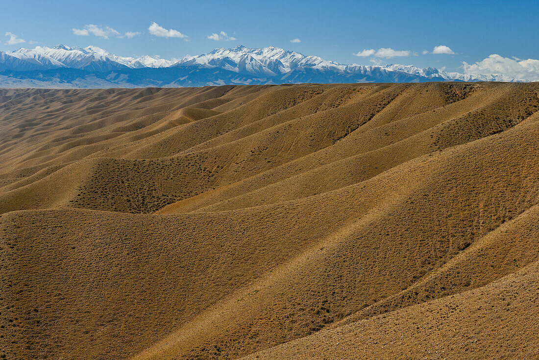 Wüstenlandschaft mit Geröllbergen, im Hintergrund die schneebedeckten Berge des Tien Shan, Region Almaty, Tien Shan Gebirge, Tian Shan, Kasachstan, Zentralasien, Asien