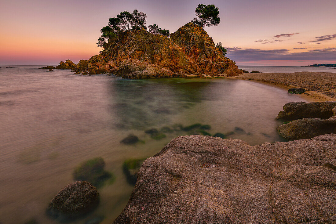 Fels-Insel mit Pinien nach Sonnenuntergang, Strand von Cap Roig zwischen Platja d´Aro und Palamos, Mittelmeer, Costa Brava, Katalonien, Spanien