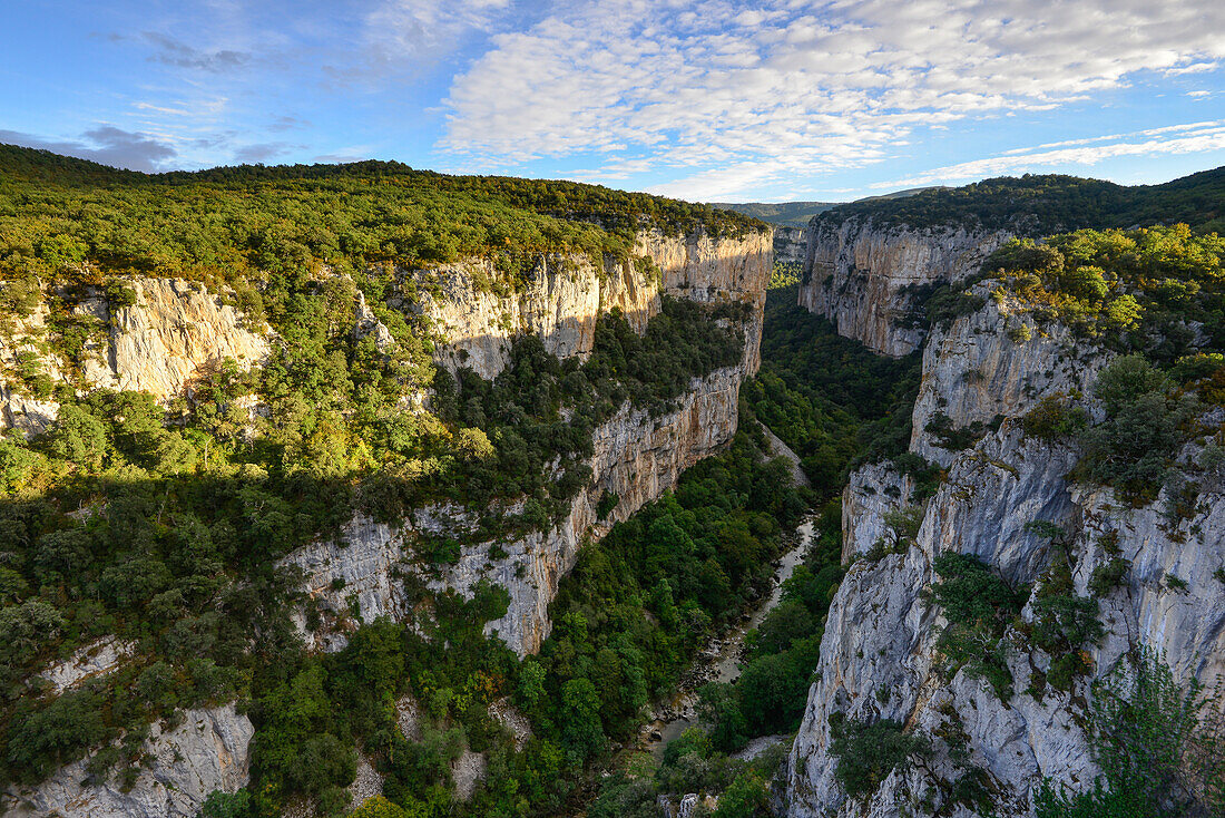 Schlucht Foz de Arbayún mit dem Fluss Río Salazar, La Sierra de Leyre, Pyrenäen, Navarra, Spanien