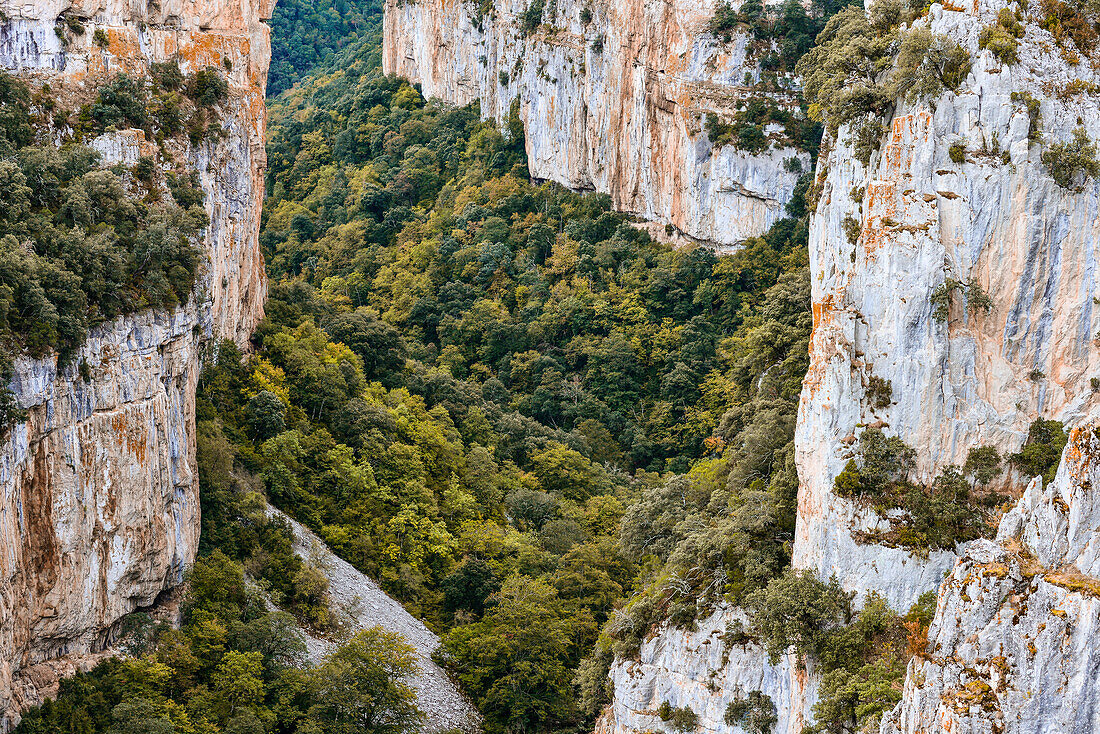 Canyon Foz de Arbayún with Río Salazar, La Sierra de Leyre, Pyrenees, Navarra, Spain