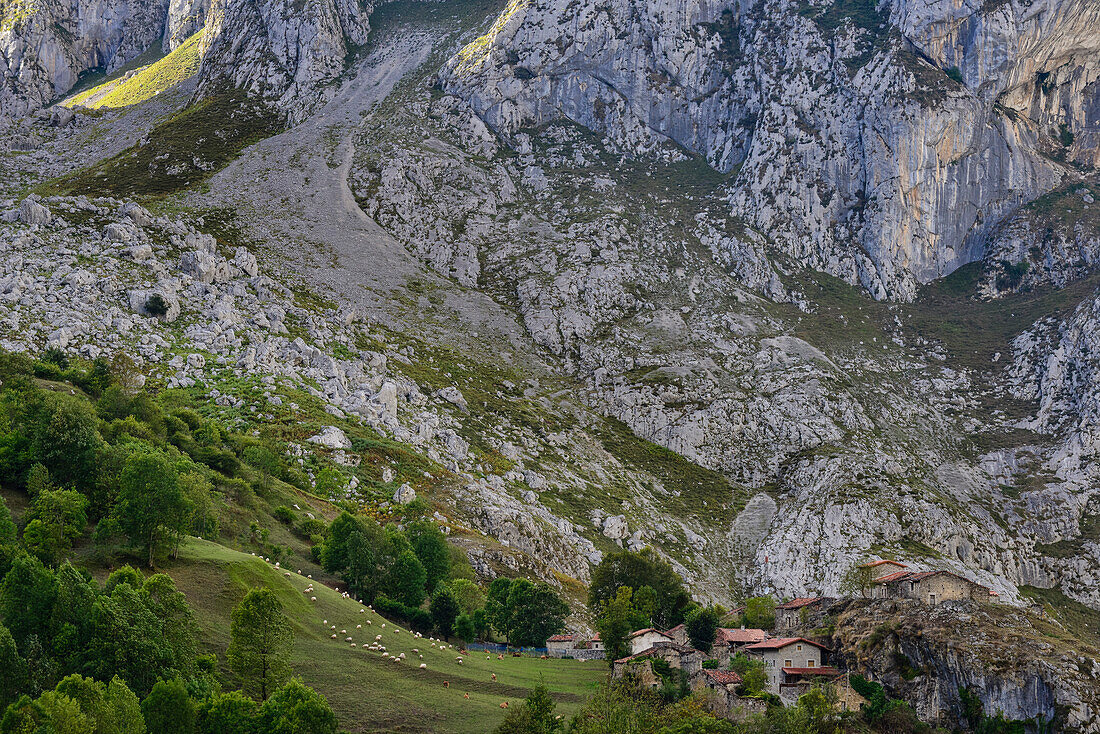 Bergdorf Bulnes de arriba und Hochalm, Cabrales, Gebirge Parque Nacional de los Picos de Europa, Asturien, Asturias, Spanien