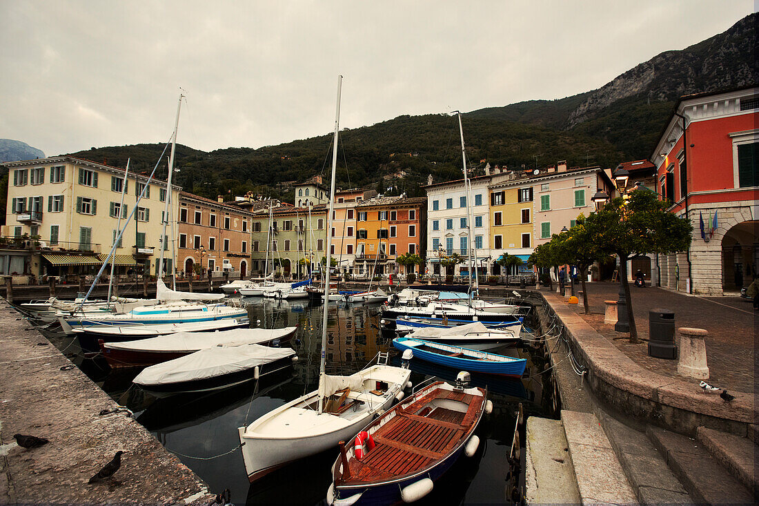 Boats in marina, Gargnano, Lake Garda, Lombardy, Italy