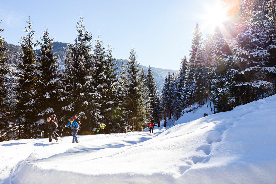 Backcountry skiers in the Tennengebirge mountains, Salzburg, Austria