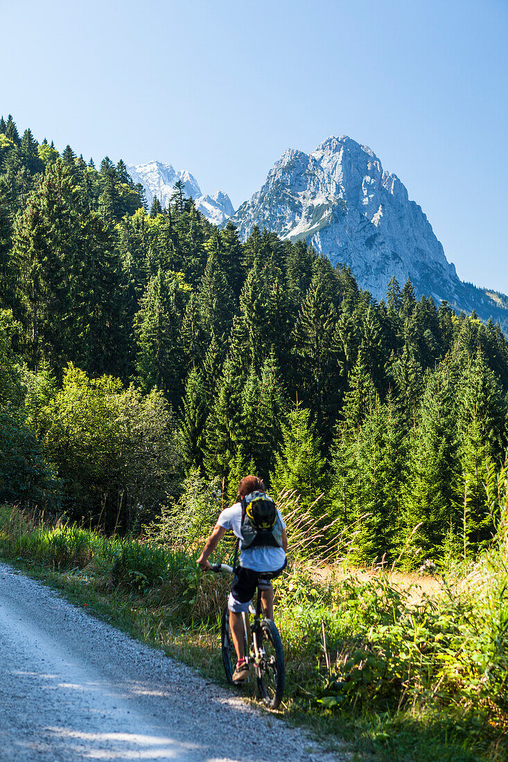 Mountainbiker on a trail to Kreuzeck, Waxenstein and Zugspitze in the background, Garmisch-Partenkirchen, Bavaria, Germany