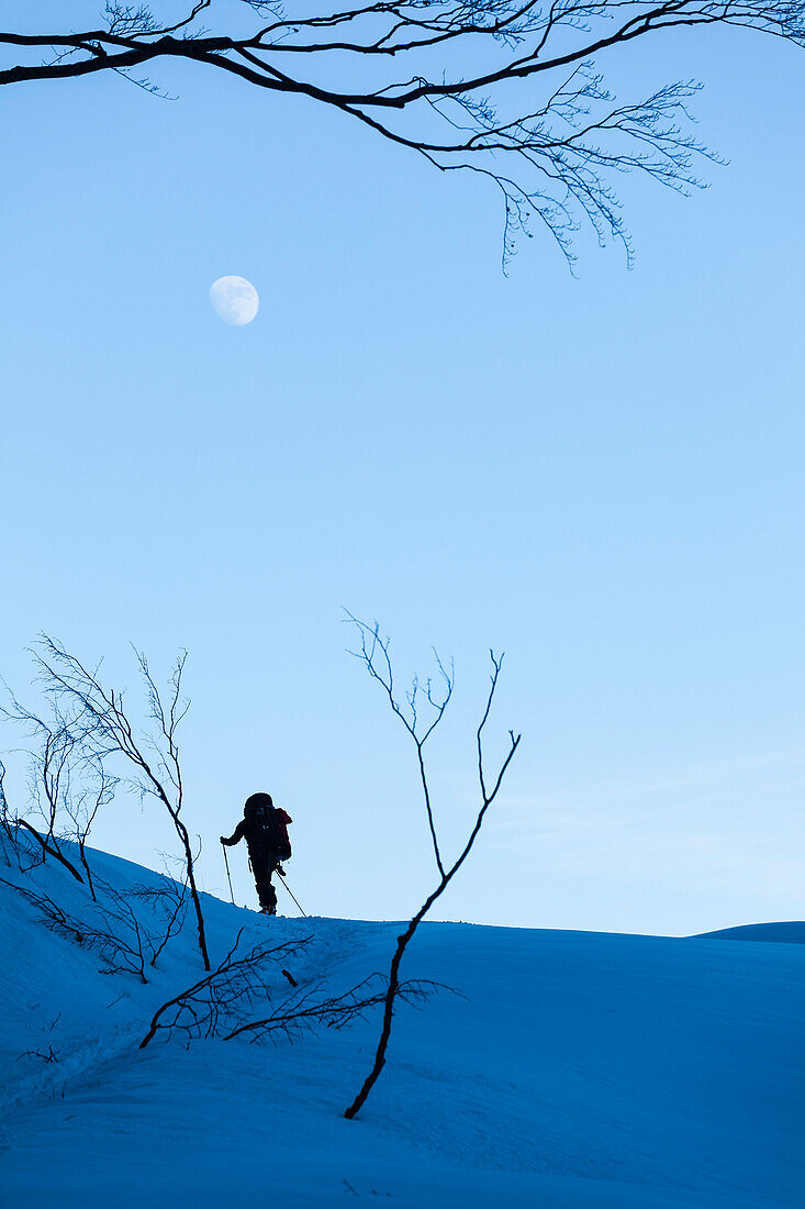 Backcountry skier and moon at dusk in the Tennengebirge mountains, Bischofsmuetze in the background, Salzburg, Austria