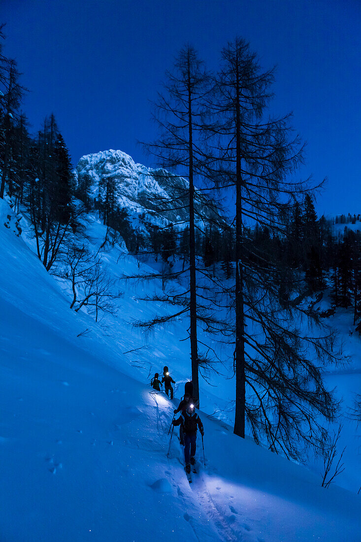 Backcountry skiers with headlamps at dawn, Tennengebirge mountains, Salzburg, Austria