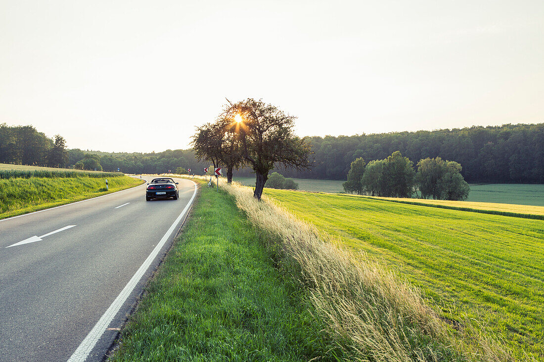 Country road and fields at sunset, Ehingen (Donau), Baden-Wuerttemberg, Germany
