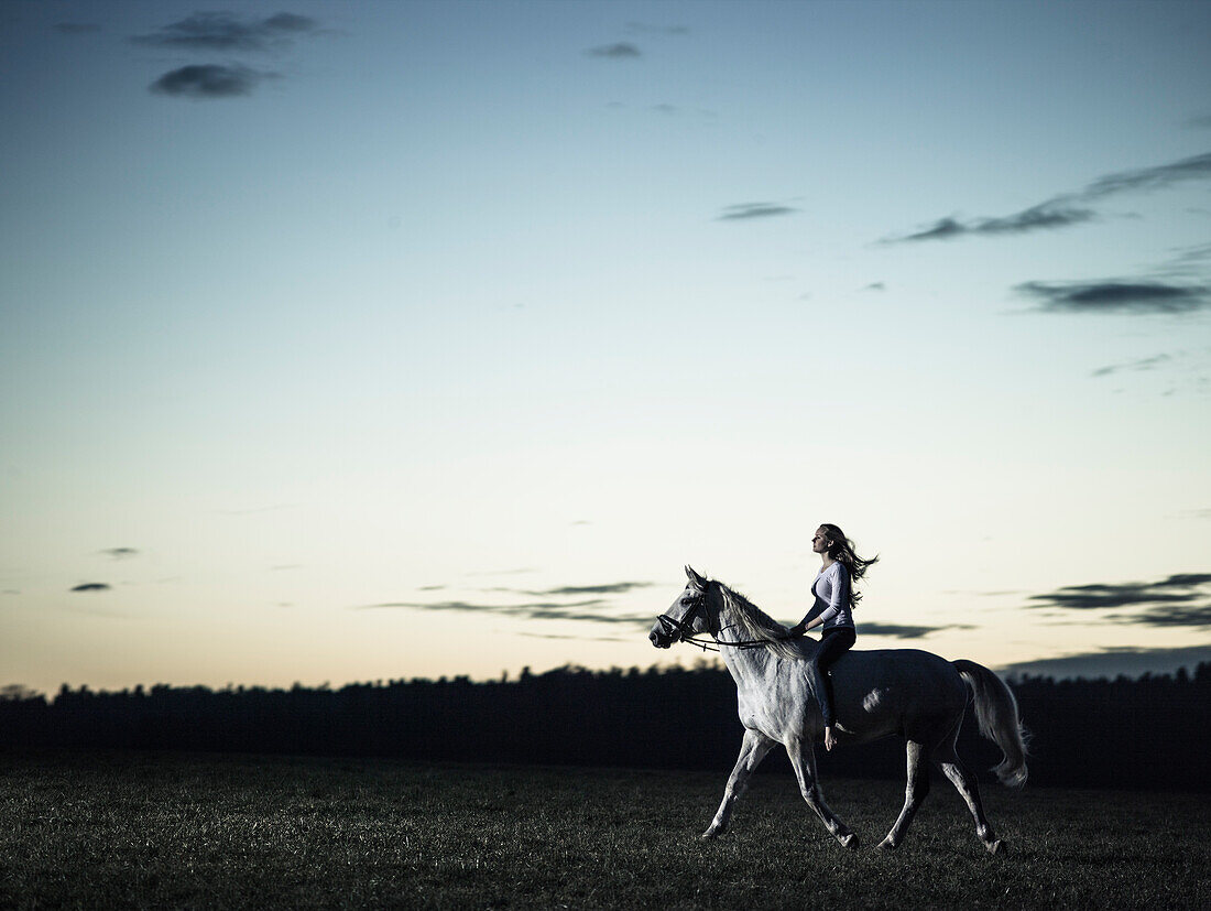 girl riding her horse at dusk, Freising, Bavaria, Germany
