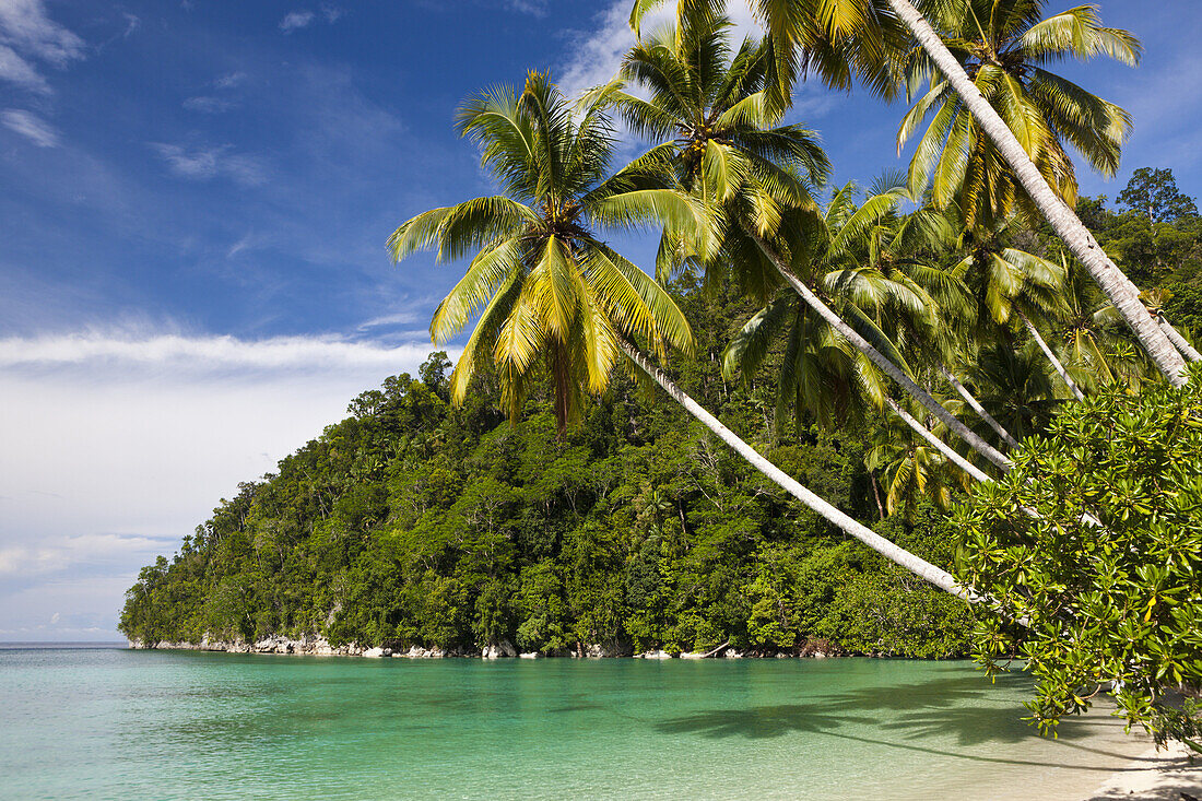 Tropische Insel in der Strait of Iris, Triton Bay, West Papua, Indonesien