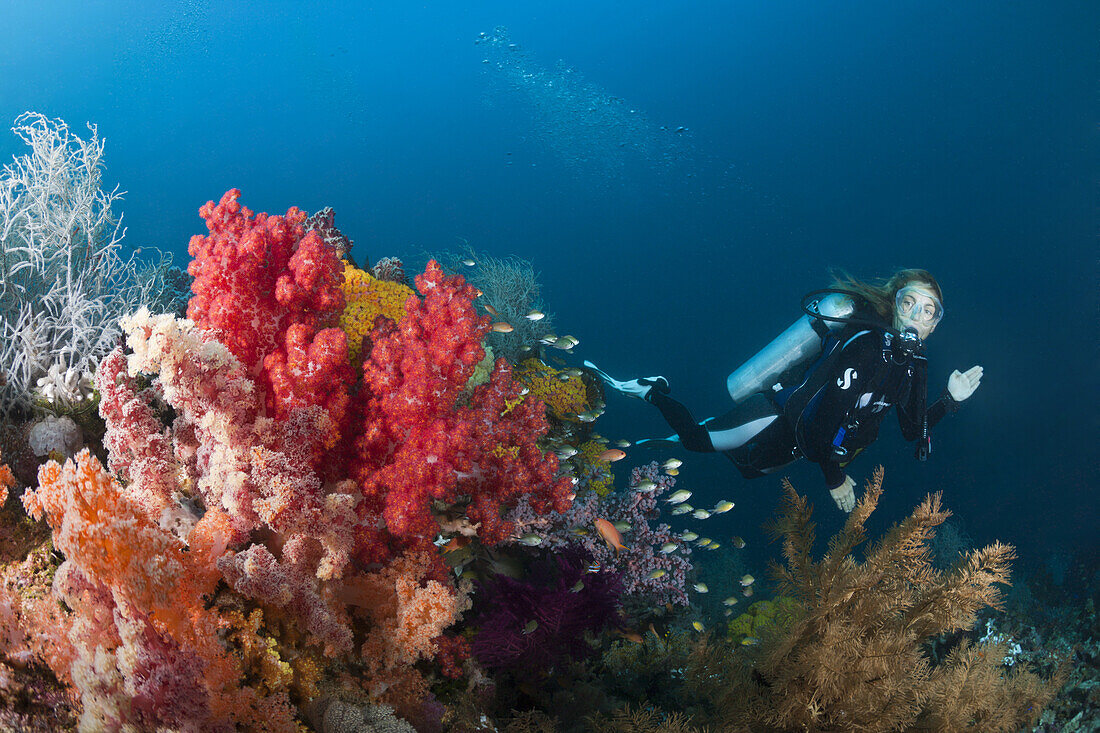 Taucher und buntes Korallenriff, Triton Bay, West Papua, Indonesien