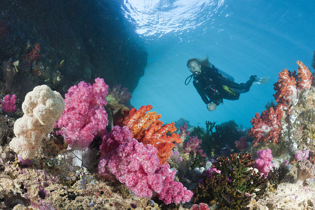 Scuba Diver and colored Coral Reef, Triton Bay, West Papua, Indonesia