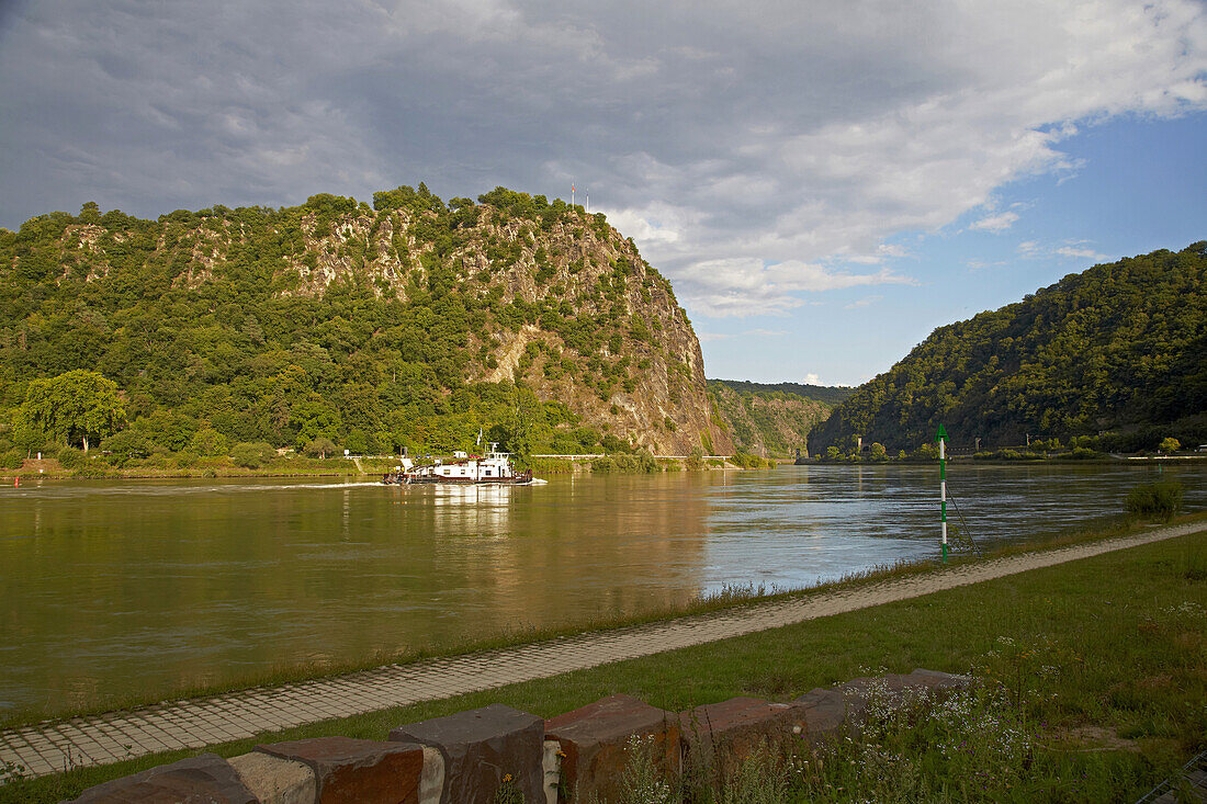 Blick auf den Rhein und die Loreley, Unesco Welterbe Oberes Mittelrheintal seit 2002, bei St. Goarshausen, Rheinland-Pfalz, Deutschland, Europa
