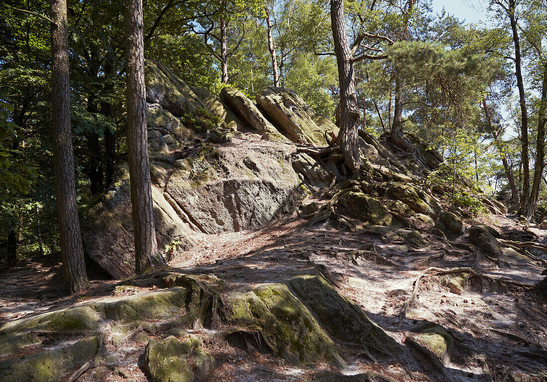 Dörenther Klippen am Hermannsweg bei Ibbenbüren , Münsterland , Nordrhein-Westfalen , Deutschland , Europa